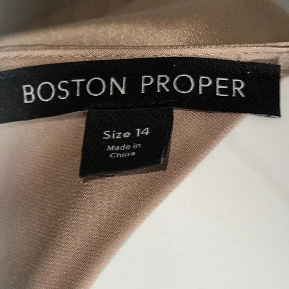 Boston Proper Bronze Satin Dress - Picture 6 of 8
